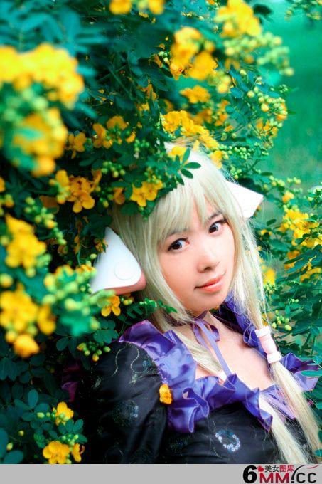 Chobits cosplay(3)