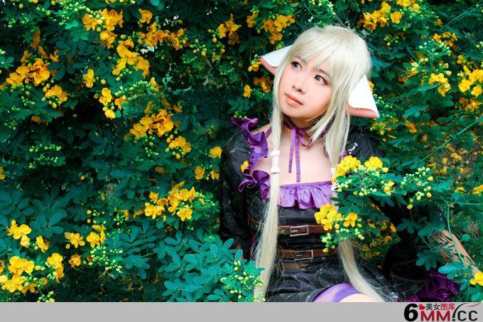 Chobits cosplay(4)