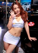 2011华南国际汽车展美女车模