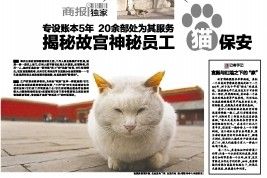 《成都商报》上刊登的“猫保安”。