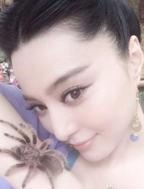 范爷与蜘蛛“亲密”互动 网友：蜘蛛精转世