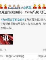 众星震惊马航客机坠落 梁静茹：悲痛无法接受
