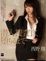 2014年西野翔单体作品封面一览 西野翔作品以及番号持续更新~